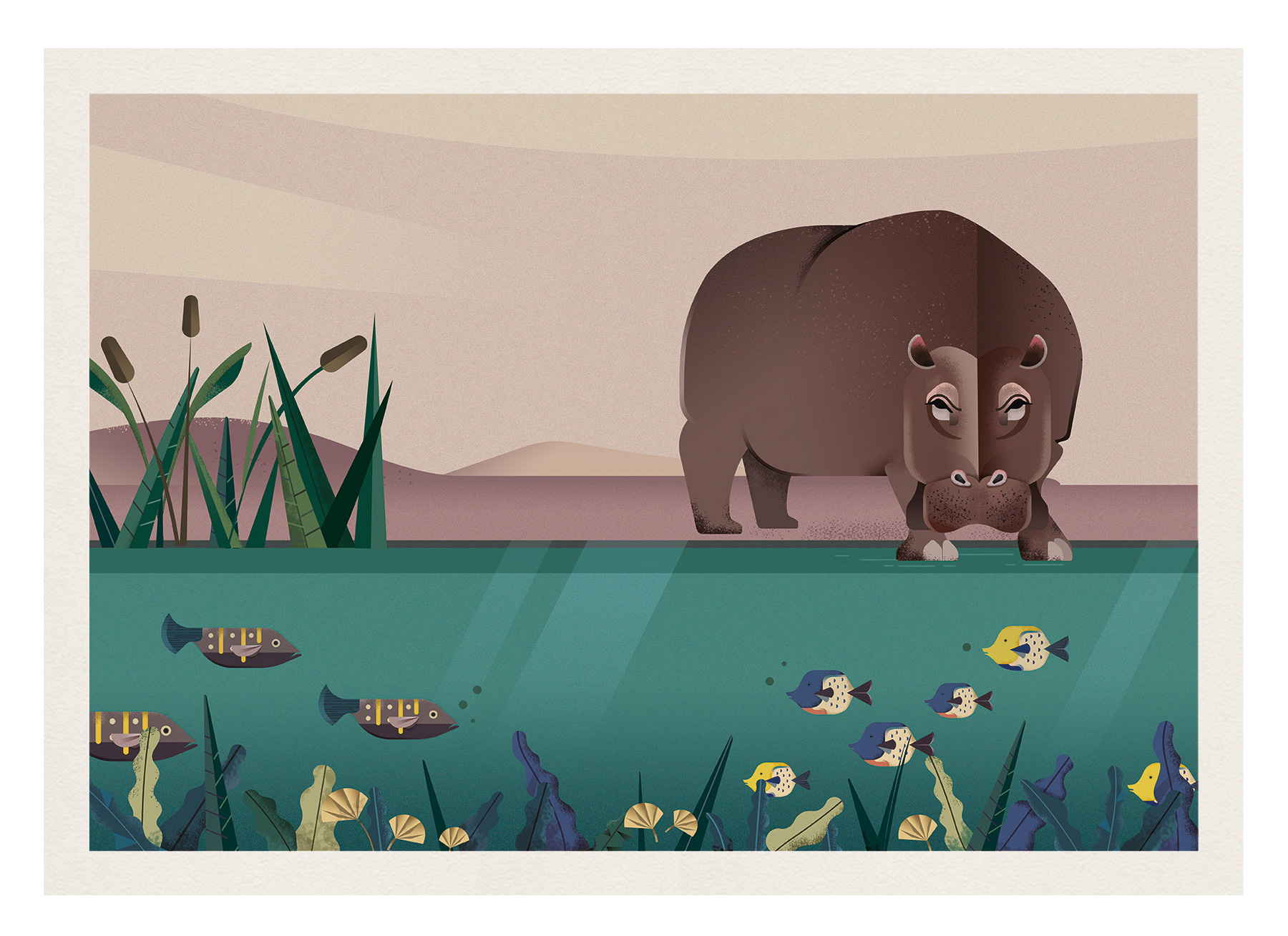 Ilustracion Hipopotamos realizada por Carlota Marcos