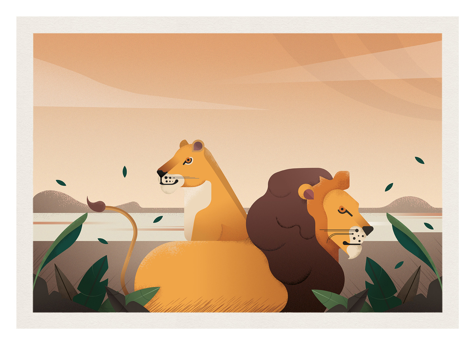 Gelpi Design Illustration Animals Lions