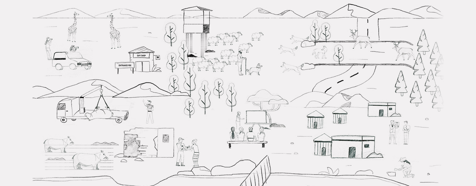 Gelpi illustration sketches