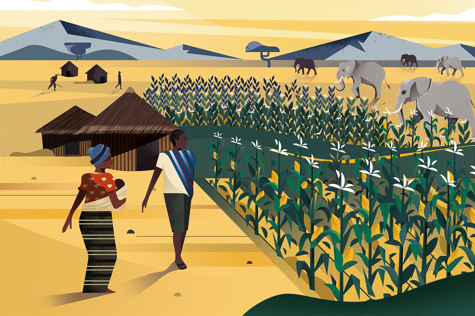 Gelpi Design FAO Illustration