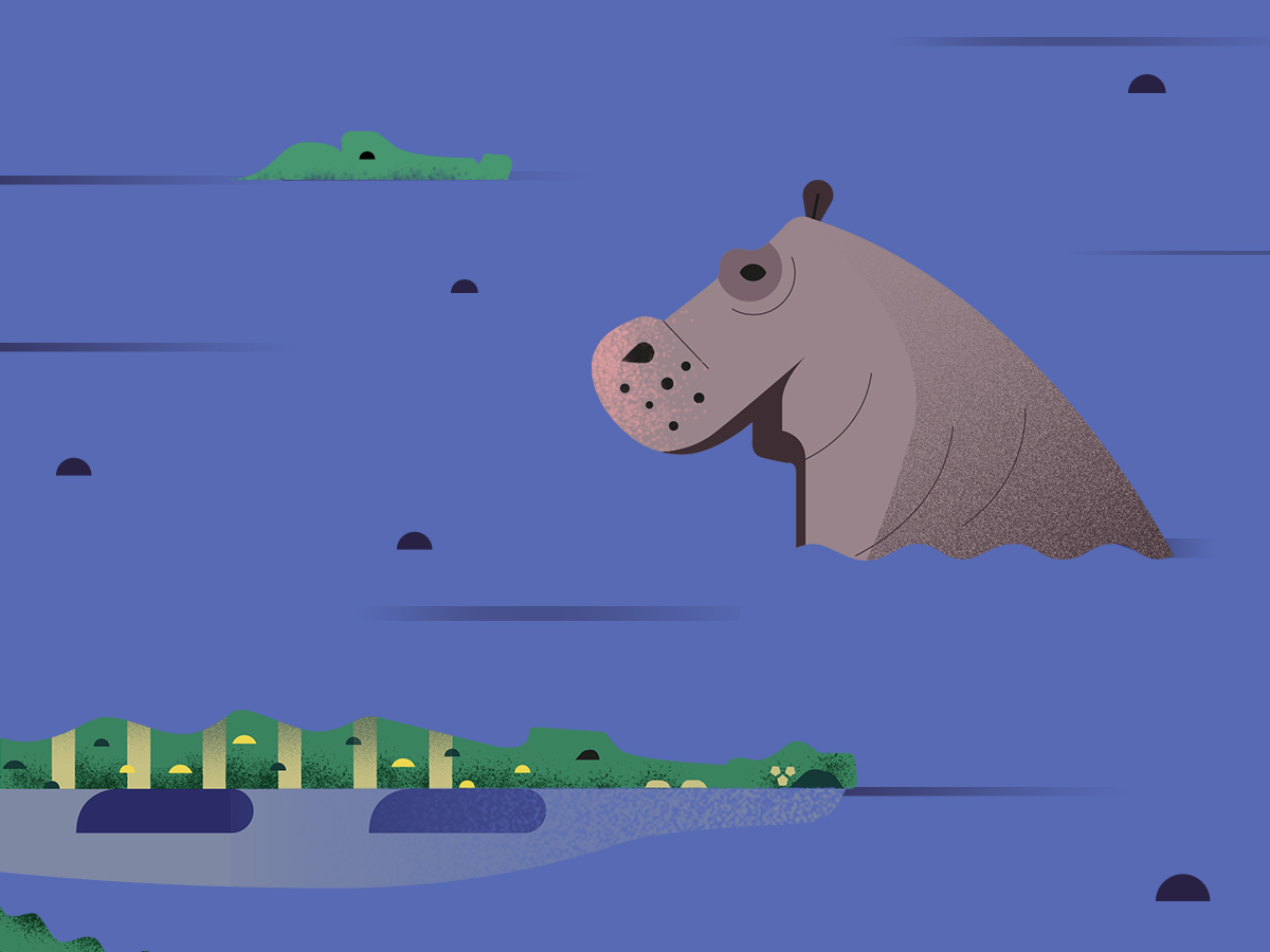 Gelpi Design illustration