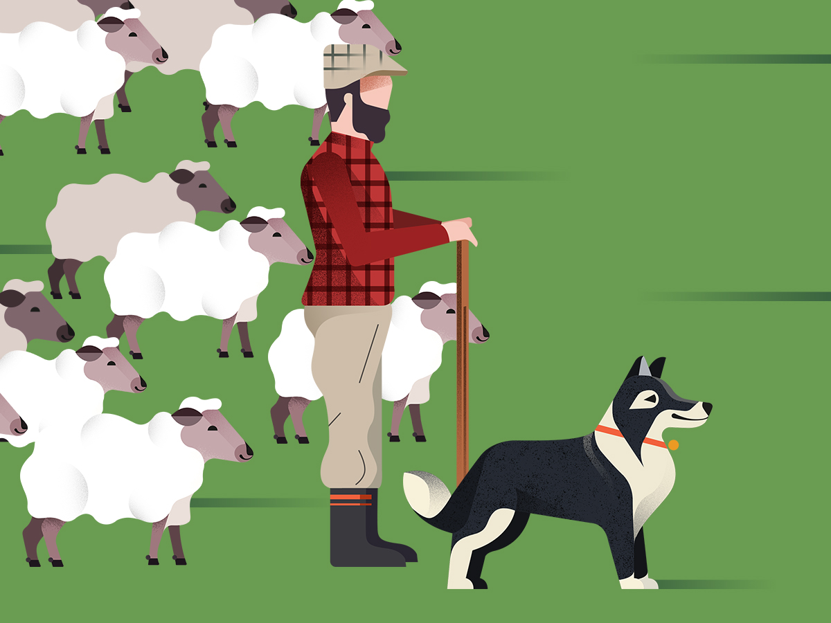 Gelpi Design illustration