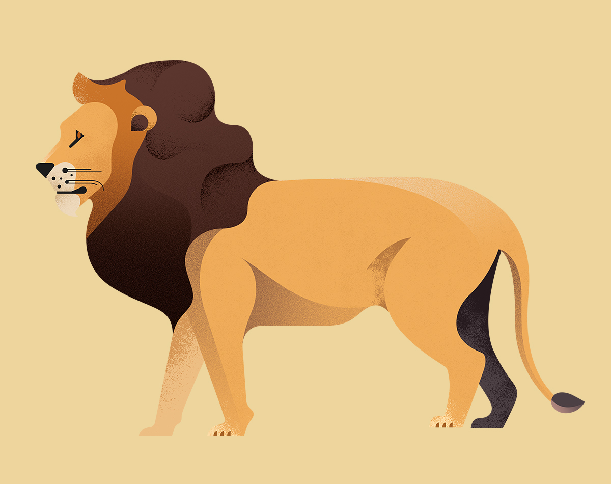 Gelpi Design illustration