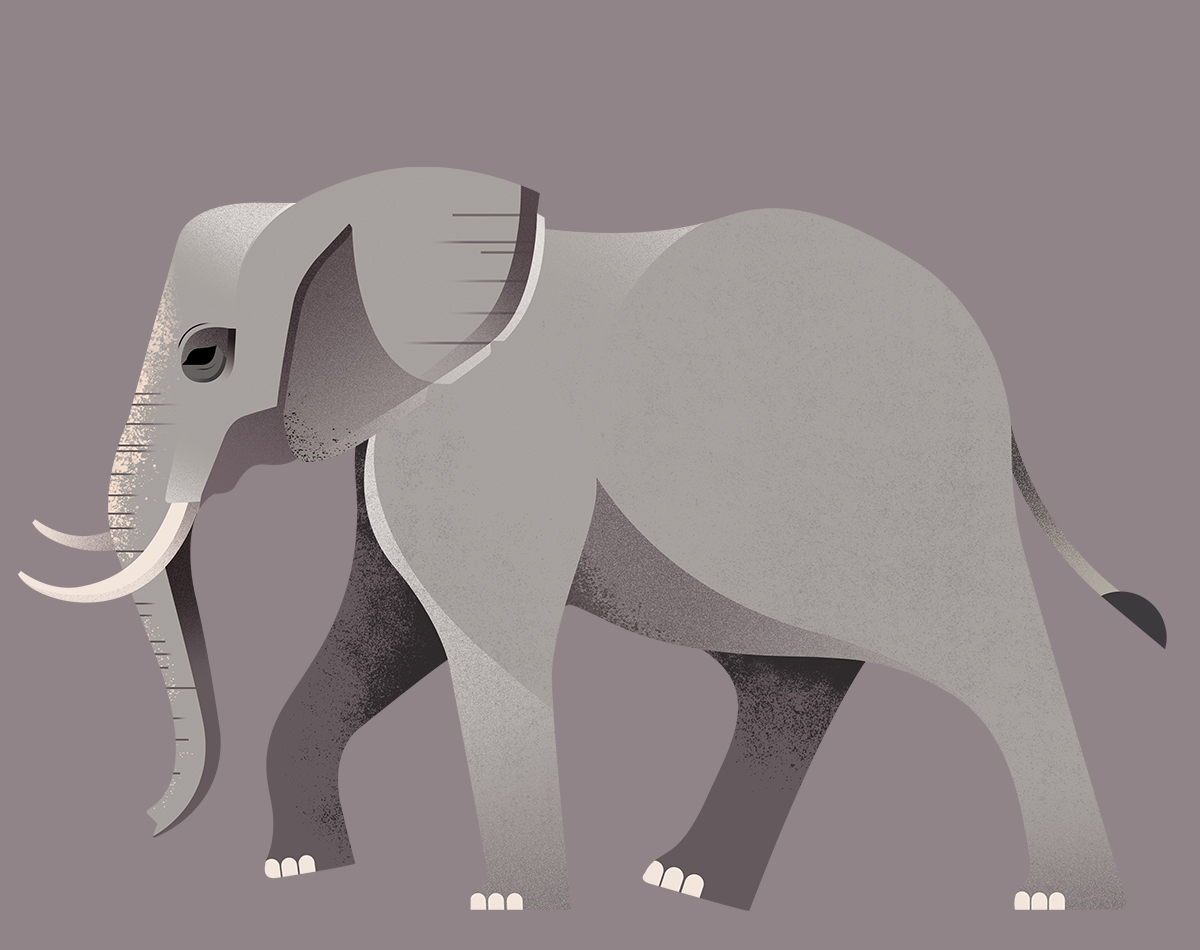 Gelpi Design illustration