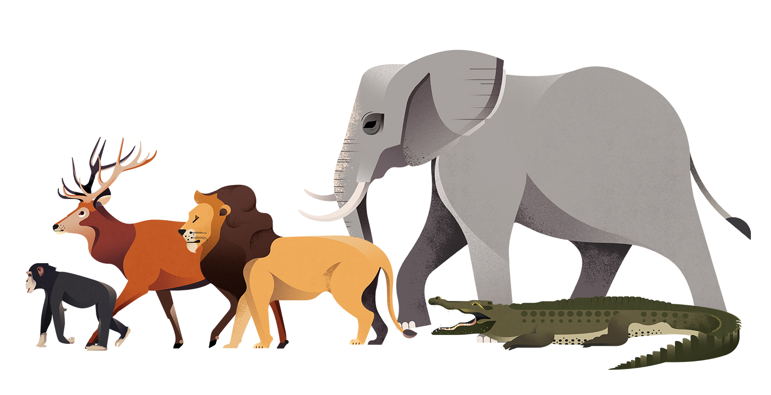 Ilustración Valencia Gelpi Design