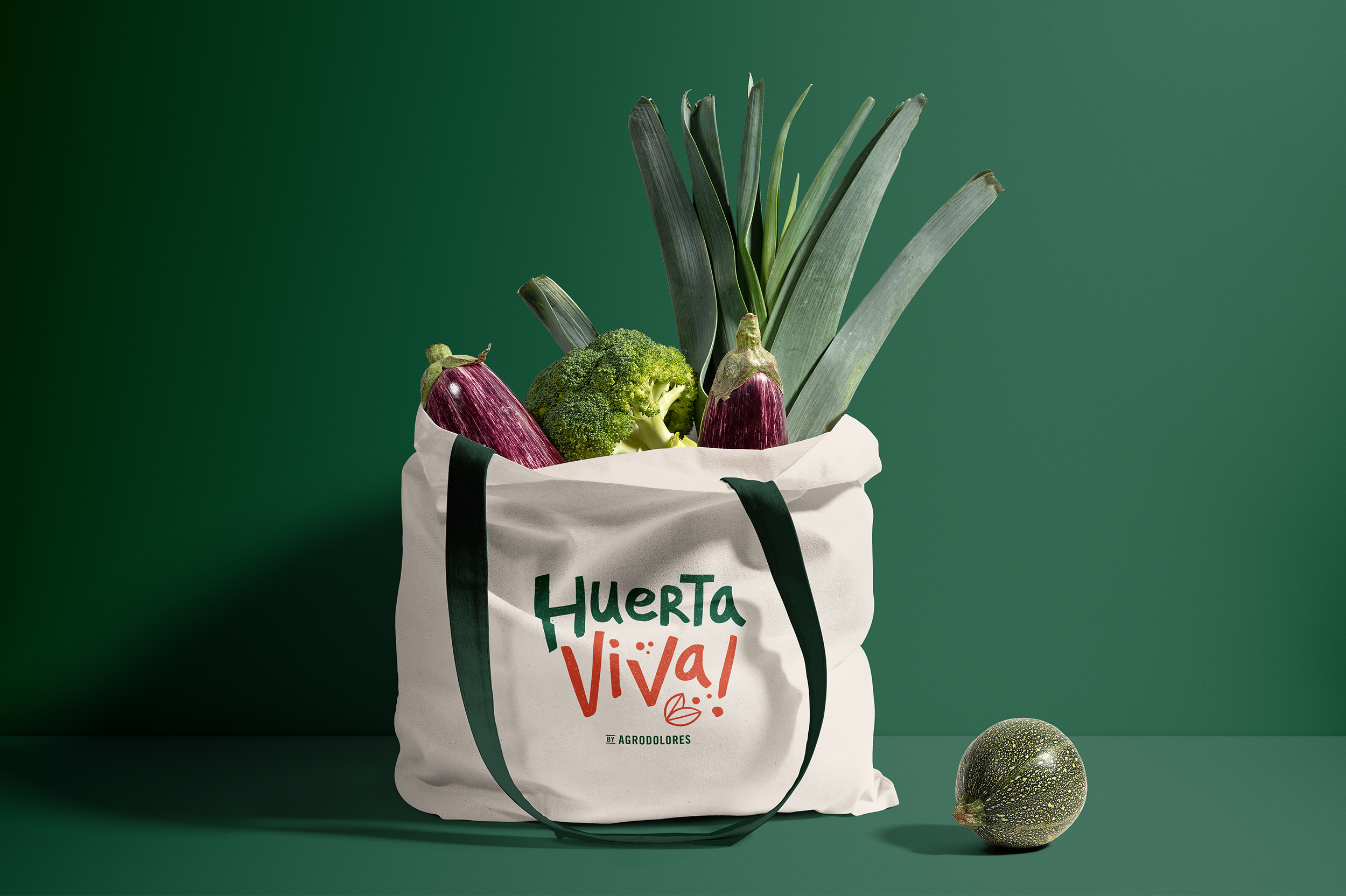 Huerta Viva Identidad Visual