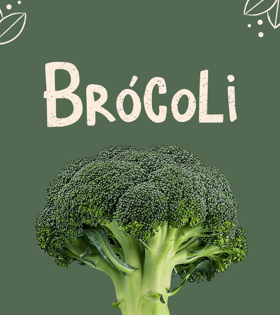 Gelpi design Branding